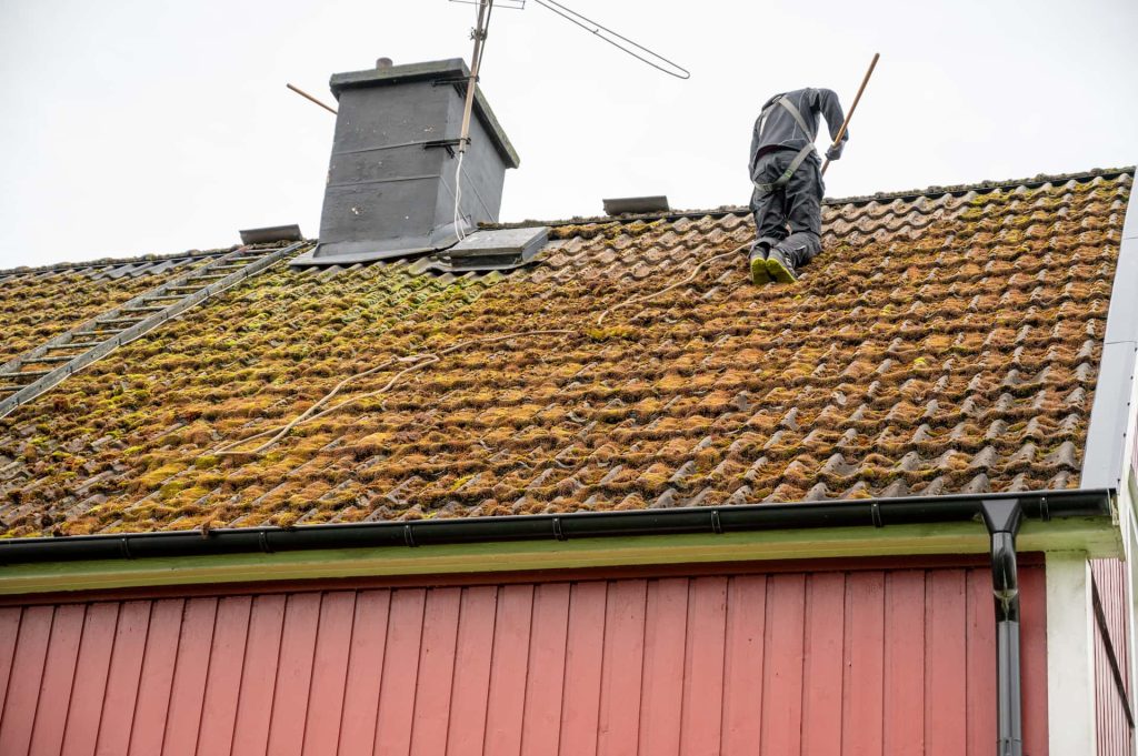 Roof moss removal Berkshire roof moss removal